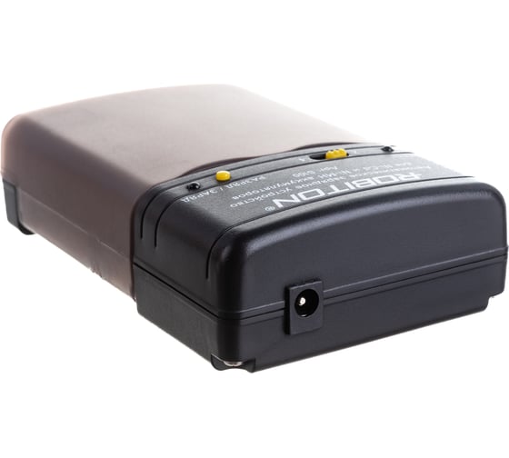 Зарядное устройство Robiton Smart S100 BL1 4409