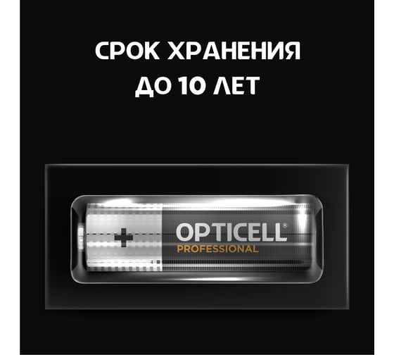 Батарейки OPTICELL PROFESSIONAL AA 4шт 5052001