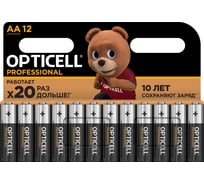 Батарейки Opticell PROFESSIONAL AA 12шт 5052005