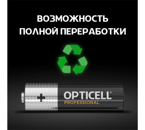 Батарейки Opticell PROFESSIONAL AA 12шт 5052005