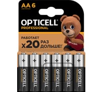 Батарейки Opticell PROFESSIONAL AA 6шт 5052003