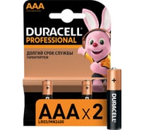 Батарейки Duracell, Professional LR03-2BL Б0023827