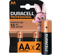 Щелочные батарейки Duracell, Professional АА, 2шт Б0023826