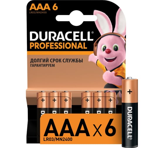 Батарейки Duracell Professional LR03-6BL Б0023835 1