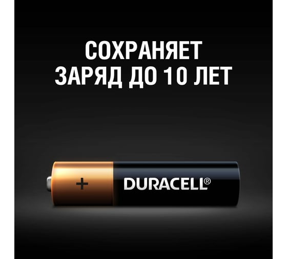 Батарейки Duracell Professional LR03-6BL Б0023835