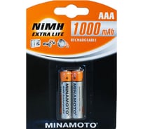 Аккумулятор Minamoto AAA, 1000mAh, 2 Card 4117