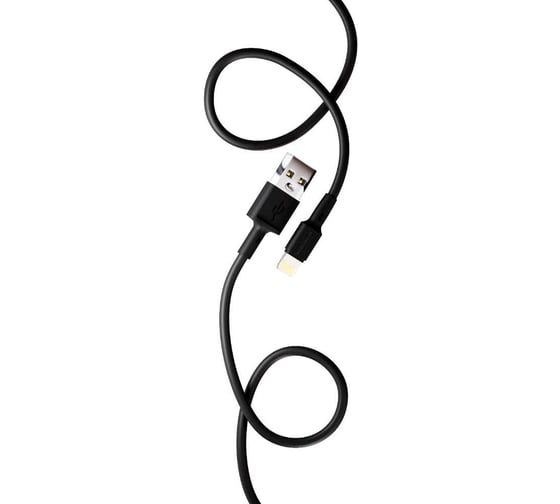 Сетевое зарядное устройство More Choice 2USB 2.4A для Lightning 8-pin NC11i Black