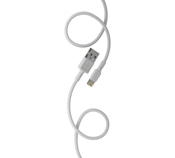 Сетевое зарядное устройство More Choice 2USB 2.4A для Lightning 8-pin NC11i White