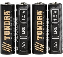 Алкалиновая батарейка TUNDRA AA, LR6 спайка, 4 шт 3142260