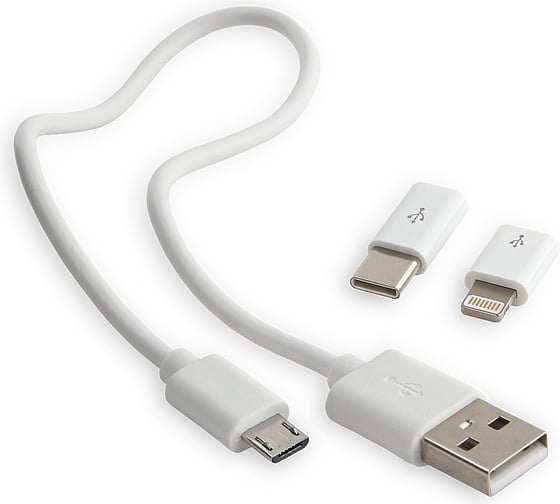 Портативный аккумулятор Гарнизон GPB-205, 20000мА/ч, 2 USB type-c, 2.4A черный