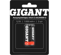 Аккумуляторы Gigant размера ААA, емкостью 1000 мАч - 2шт. G-AAA1000-2