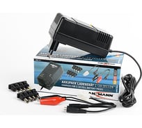 Зарядное устройство ANSMANN 1001-0023 ACS 110 14079
