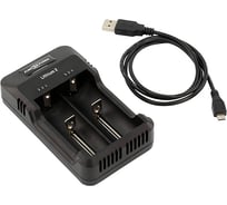 Зарядное устройство ANSMANN 1001-0050 Lithium 2 BL1 14678