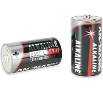 Элемент питания ANSMANN RED 5015571 LR14 SR4 9241