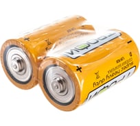 Батарейки Трофи R20-2S C0033714