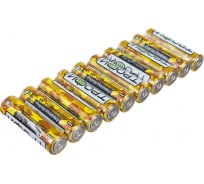 Батарейки Трофи R6-10S pack Heavy Duty Б0042310