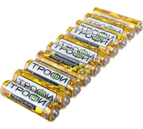 Батарейки Трофи R6-10S pack Heavy Duty Б0042310
