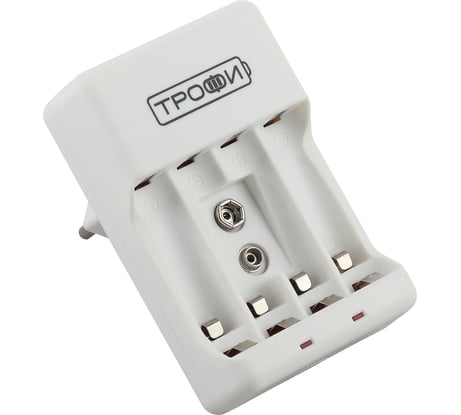 Зарядное устройство ТРОФИ TR120 C0031279