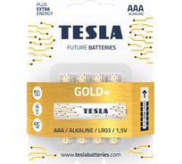 Батарейки Tesla AAA GOLD+ 4 шт. 8594183392264