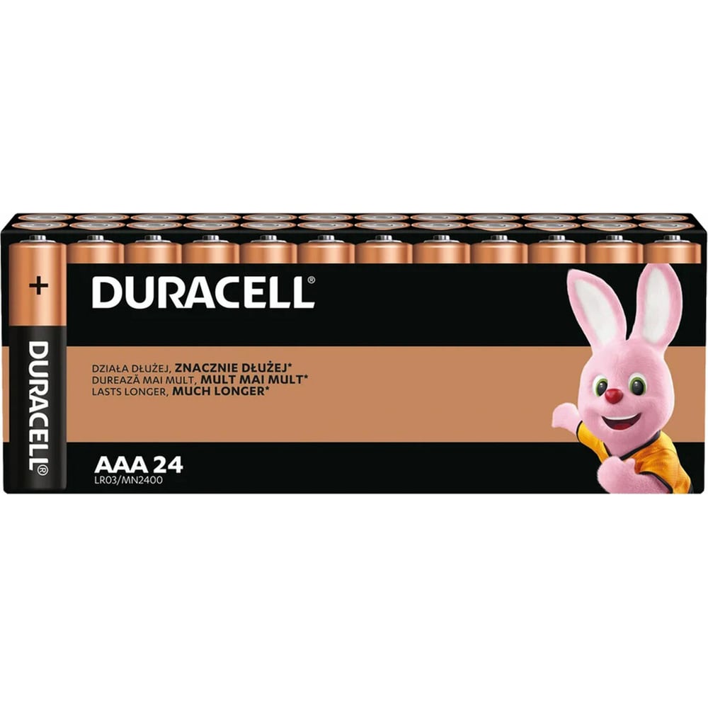 Батарейки ОФИСМАГ комплект 24шт, DURACELL Basic оригинал, ААА (LR03,24А ...