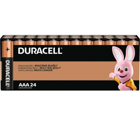 Батарейки ОФИСМАГ комплект 24шт, DURACELL Basic оригинал, ААА (LR03,24А), алкалиновые, мизинчиковые 456994