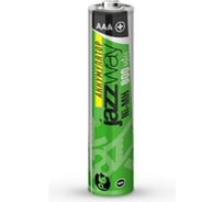Аккумулятор JazzWay AAA 800мАч предзаряженные BL-2 5007901
