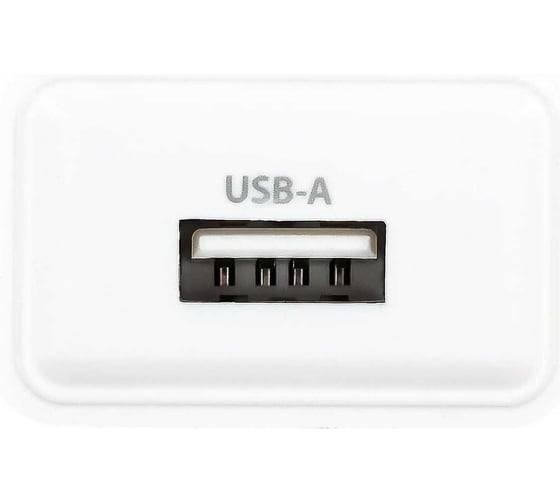 Сетевое зарядное устройство BURO BUWA1 10.5W 2.1A USB-A универсальное белый (BUWA10S100WH) 1655919