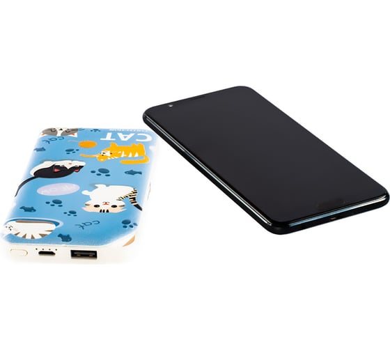 Внешний аккумулятор HARPER PB-0019 CAT v.2 H00003095