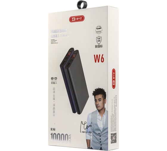 Портативное ЗУ BYZ, Power Bank W6 10000 mAh, металлик 23750-W6GN