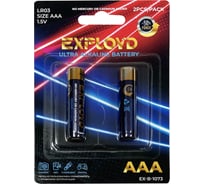 Щелочная батарейка 2 шт. Exployd AAA LR03 EX-B-1073