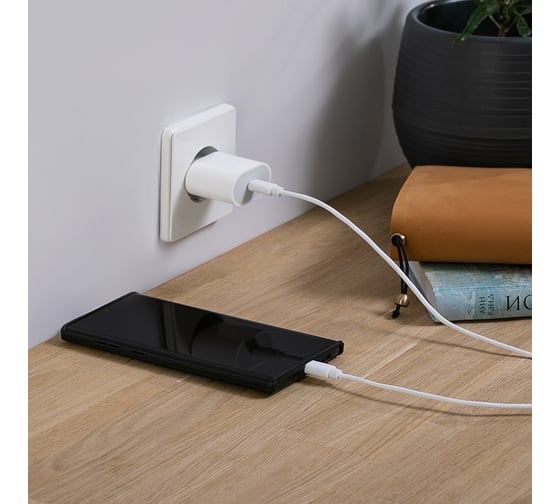 Сетевое зарядное устройство REXANT USB-C, 20Вт в комплекте с кабелем USB-C – USB-C 16-0233-4