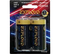 Щелочная батарейка 2 шт. Exployd D LR20 EX-B-1119