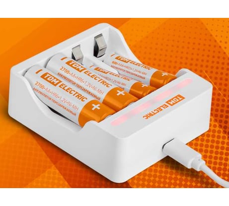 Зарядное устройство TDM ELECTRIC 2044 (200 mA 4 слота АА/ААА 4 кан. USB) TDM SQ1702-0107