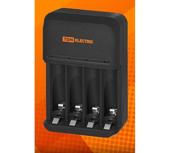 Зарядное устройство TDM ELECTRIC 8042 (800 mA 4 слота АА/ААА 2 кан.), 220 В, TDM SQ1702-0109