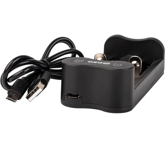 Зарядное устройство ФАZА L-71USB 2х500мА Li-ion (16340/17650/18650/26650/20700 и др.) 4.2В DC USB-MicroUSB в компл. 5032385