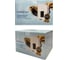 Стабилизатор напряжения Turbosky AVR-1500VA 515 13