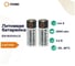 Батарейка FANSO ER18505H/S комплект 2шт 6799670 2