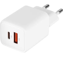 Сетевое зарядное устройство TFN GAN USB/TypeC PD 33W без кабеля, белый TFN-WC-33W-3116-WH