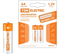 Аккумулятор TDM ELECTRIC AA-1000 mAh Ni-MH BP-2 SQ1702-0067