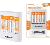 Зарядное устройство TDM 3044Н 300 mA 4 слота АА/ААА 2 кан.+4xAA2500 USB SQ1702-0105