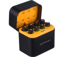 Зарядное устройство GoPower для аккумуляторов SmartCase Li-ion 8 слотов +4AA и 4AAA 00-00031392