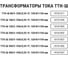 Трансформатор тока TDM ELECTRIC ТТН-Ш 15/5- 5VA/0,5-Р SQ1101-1003 13