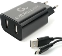 Адаптер питания Cablexpert USB 2 порта, 2.4A, черный + кабель 1м Type-C MP3A-PC-37