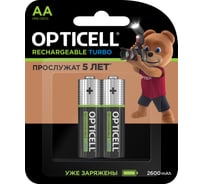 Аккумуляторы OPTICELL Turbo AA 2600 мА·ч 2 шт 6080001