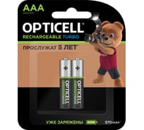 Аккумуляторы OPTICELL Turbo AAA 970 мА·ч 2 шт 6080003