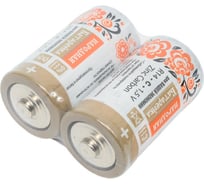 Элемент питания TDM ELECTRIC R14 C Zinc Carbon 1,5V SH-2 Народный SQ1702-0021