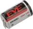 Литиевая батарейка EVE Energy ER14250/2PT тип 1/2AA для автомобилей, счетчиков и датчиков, с выводами для запаивания, Li-SOCl2, 2 штуки 7054479 1