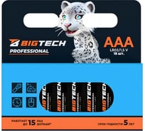 Батарейка BigTech Professional ААA/LR03 упаковка/18шт 1988427