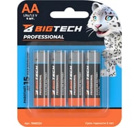 Батарейка BigTech Professional АA/LR6 блистер/4шт 1988320