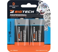 Батарейка BigTech Professional D/E95/LR20 блистер/2шт 1988429